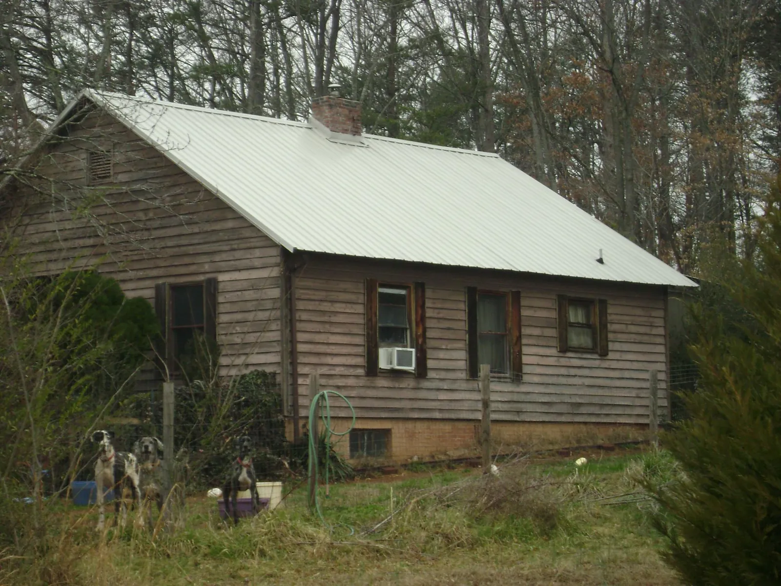 White metal roof on an old wood sided farmhouse, from a Asphalt Shingle Roof Repair job in Curtis